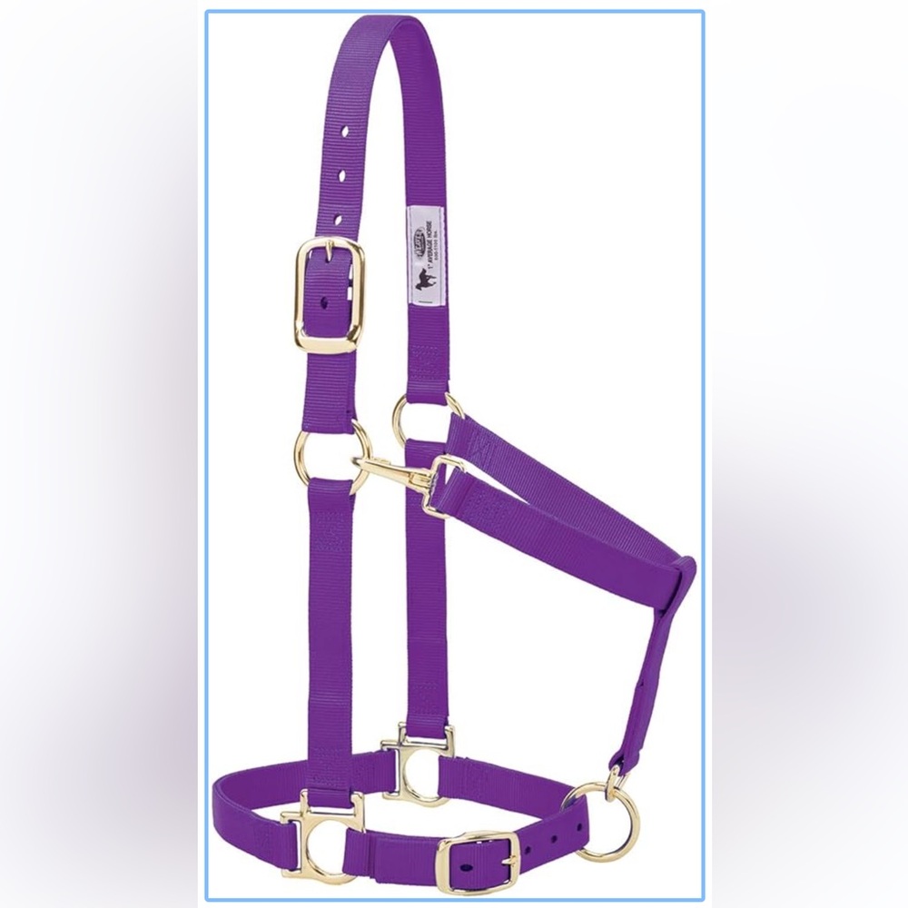 Weaver adjustable halter for a small horse